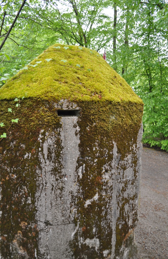 Blockhaus d'Éperlecques-397