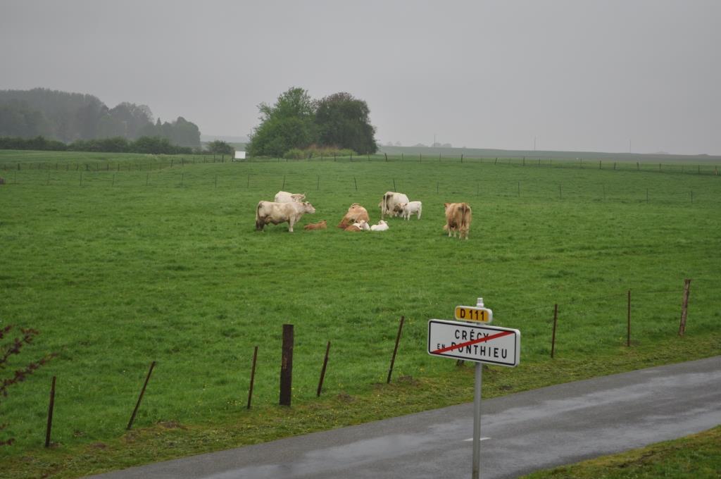 Crécy-en-Ponthieu, okolí místa odkud bitvu řídil Eduard III.-489