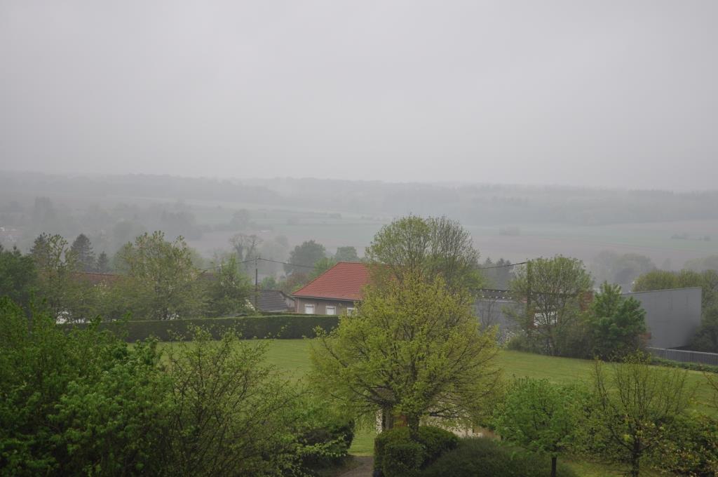 Crécy-en-Ponthieu, okolí místa odkud bitvu řídil Eduard III.-490